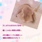 ヒメ日記 2025/06/19 18:42 投稿 さつき AVANCE福岡