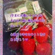 ヒメ日記 2026/02/12 01:08 投稿 さつき AVANCE福岡