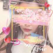 ヒメ日記 2025/06/20 02:18 投稿 りせ 錦糸町発！現役女子大生専門店 College Tokyo