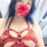 ヒメ日記 2025/02/22 06:14 投稿 すみれ 桃李（とうり）