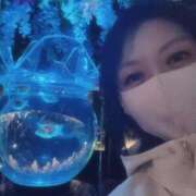 ヒメ日記 2025/04/12 06:04 投稿 すみれ 桃李（とうり）