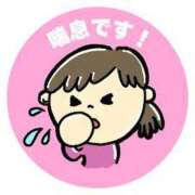 ヒメ日記 2025/04/13 06:34 投稿 すみれ 桃李（とうり）