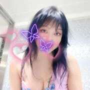 ヒメ日記 2025/04/22 08:14 投稿 すみれ 桃李（とうり）