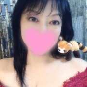 ヒメ日記 2025/05/20 17:49 投稿 すみれ 桃李（とうり）