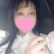 ヒメ日記 2025/09/30 13:24 投稿 すみれ 桃李（とうり）