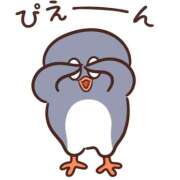 ヒメ日記 2025/10/16 20:24 投稿 すみれ 桃李（とうり）