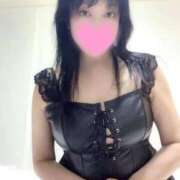 ヒメ日記 2025/10/23 22:31 投稿 すみれ 桃李（とうり）