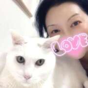 ヒメ日記 2025/10/23 22:43 投稿 すみれ 桃李（とうり）