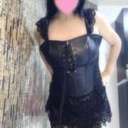 ヒメ日記 2025/11/13 15:07 投稿 すみれ 桃李（とうり）