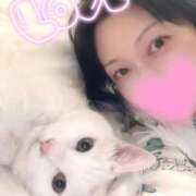 ヒメ日記 2025/12/03 07:44 投稿 すみれ 桃李（とうり）