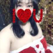 ヒメ日記 2025/12/20 18:44 投稿 すみれ 桃李（とうり）