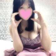 ヒメ日記 2025/12/29 21:11 投稿 すみれ 桃李（とうり）