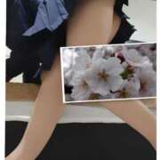 ヒメ日記 2025/03/31 12:51 投稿 ありす Ravires(ラヴィリス)