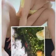 ヒメ日記 2025/09/24 09:51 投稿 ありす Ravires(ラヴィリス)