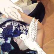 ヒメ日記 2025/11/26 20:51 投稿 ありす Ravires(ラヴィリス)