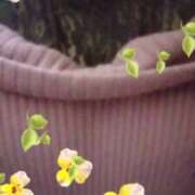 ヒメ日記 2025/02/08 10:08 投稿 ひかる 町田人妻浮気現場