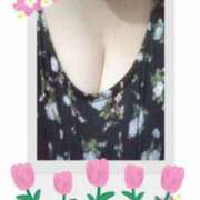 ヒメ日記 2025/04/27 14:49 投稿 ひかる 町田人妻浮気現場