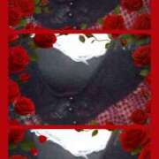 ヒメ日記 2025/05/27 15:23 投稿 ひかる 町田人妻浮気現場