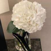 広瀬なおみ ごめんなさい 川崎南町 素敵な奥様（川崎ハレ系）