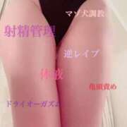 ヒメ日記 2026/05/19 09:30 投稿 千佳（ちか） 元祖神戸Ｍ性感～Ｍ・ｉｎｇ～