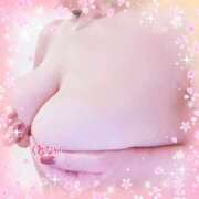 ヒメ日記 2026/02/28 10:02 投稿 清内紅 五十路マダムエクスプレス船橋店(カサブランカグループ)