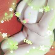 ヒメ日記 2026/03/24 21:06 投稿 清内紅 五十路マダムエクスプレス船橋店(カサブランカグループ)