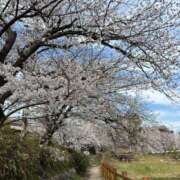 ヒメ日記 2025/04/02 18:41 投稿 あみ 天空のマット