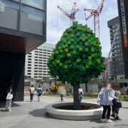 ヒメ日記 2025/05/02 15:21 投稿 あみ 天空のマット