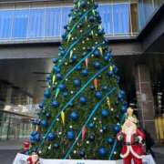 ヒメ日記 2025/12/01 16:02 投稿 あみ 天空のマット