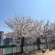 ヒメ日記 2026/04/02 13:15 投稿 あみ 天空のマット