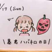 ヒメ日記 2024/11/17 14:22 投稿 えみ ハッピーブリッジ