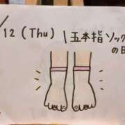 ヒメ日記 2024/12/12 22:27 投稿 えみ ハッピーブリッジ