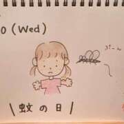 ヒメ日記 2025/08/20 16:57 投稿 えみ ハッピーブリッジ