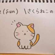 ヒメ日記 2026/03/24 11:57 投稿 えみ ハッピーブリッジ