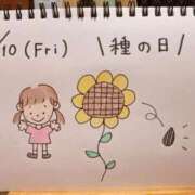 ヒメ日記 2026/04/10 14:27 投稿 えみ ハッピーブリッジ