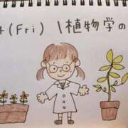 ヒメ日記 2026/04/24 14:57 投稿 えみ ハッピーブリッジ