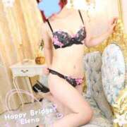 ヒメ日記 2025/11/20 13:57 投稿 えれな ハッピーブリッジ