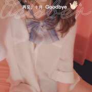 ヒメ日記 2025/11/29 23:45 投稿 このは ハッピーハウス