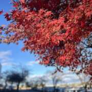 ヒメ日記 2024/12/21 10:24 投稿 ちさと 美熟女倶楽部Hip's 春日部店