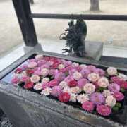 ヒメ日記 2025/01/18 09:34 投稿 ちさと 美熟女倶楽部Hip's 春日部店