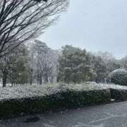 ヒメ日記 2025/03/13 11:54 投稿 ちさと 美熟女倶楽部Hip's 春日部店