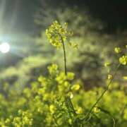 ヒメ日記 2025/04/19 09:47 投稿 ちさと 美熟女倶楽部Hip's 春日部店