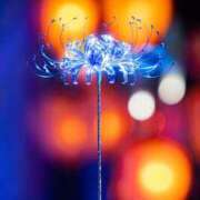 ヒメ日記 2025/07/12 09:34 投稿 ちさと 美熟女倶楽部Hip's 春日部店