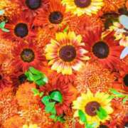 ヒメ日記 2025/09/07 10:24 投稿 ちさと 美熟女倶楽部Hip's 春日部店