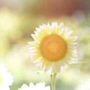 ヒメ日記 2025/09/15 09:26 投稿 ちさと 美熟女倶楽部Hip's 春日部店