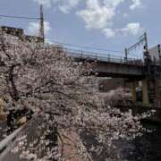 ヒメ日記 2025/04/19 10:47 投稿 みさ 品川ミセスアロマ（ユメオト）
