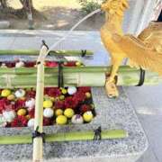 ヒメ日記 2026/01/17 18:15 投稿 みさ 品川ミセスアロマ（ユメオト）