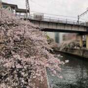 ヒメ日記 2026/04/08 19:51 投稿 みさ 品川ミセスアロマ（ユメオト）