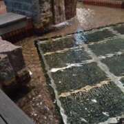 ヒメ日記 2025/09/03 18:51 投稿 あるか 日暮里・西日暮里サンキュー