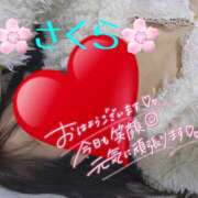 ヒメ日記 2025/01/13 12:59 投稿 さくら 熟女総本店 堺東店